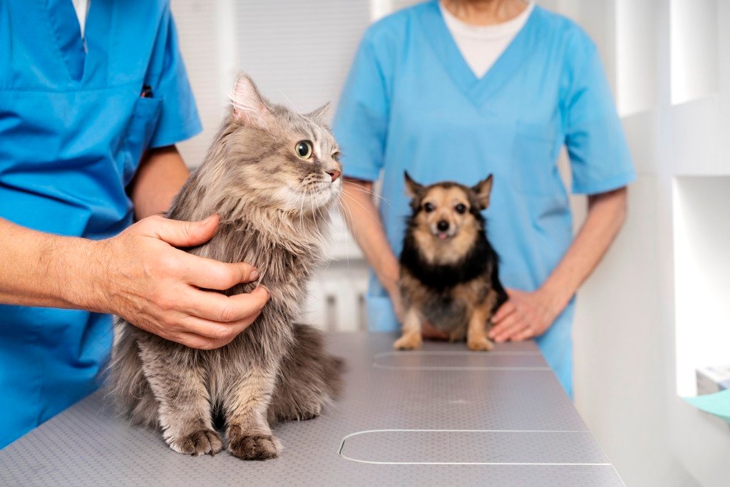 Clínica Veteralia Sant Cugat