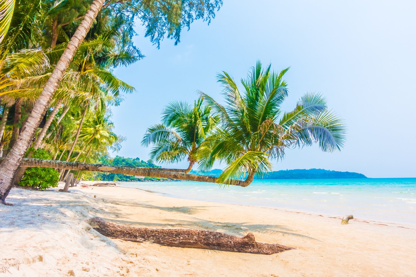Beautiful tropical ocean or sea and sand beach on island with coconut palm tree - Boost up color Processing style