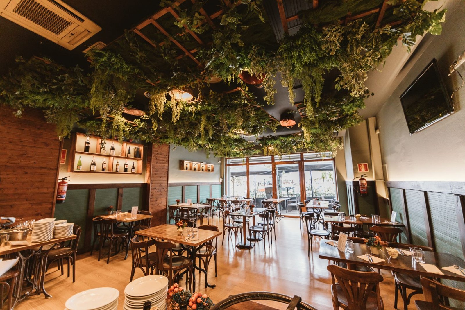 Bodega Tomàs Original